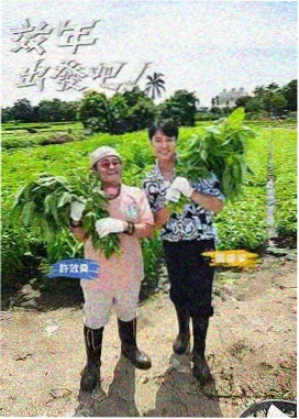星辰影视在线观看免费观看完整版 明星大侦探